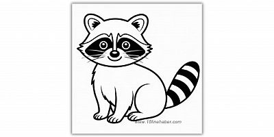 Boyama sayfaları yavru rakun